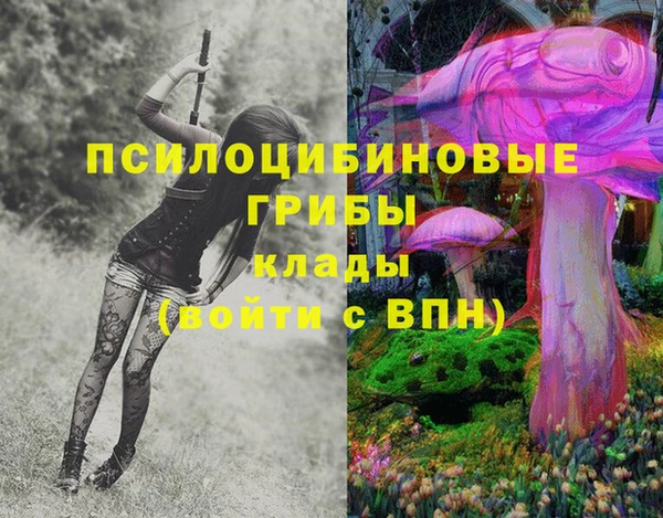 прущие крисы Алзамай