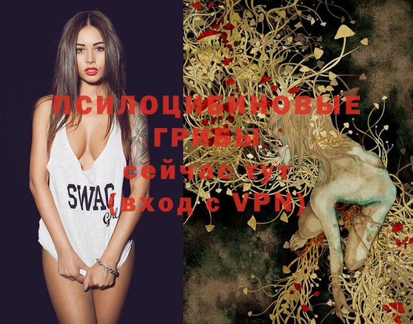 spice Алексеевка