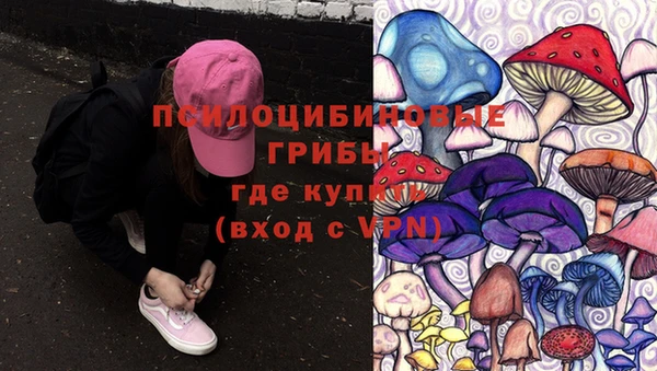 прущие крисы Алзамай