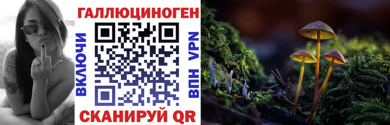 Псилоцибиновые грибы GOLDEN TEACHER  Приозерск 